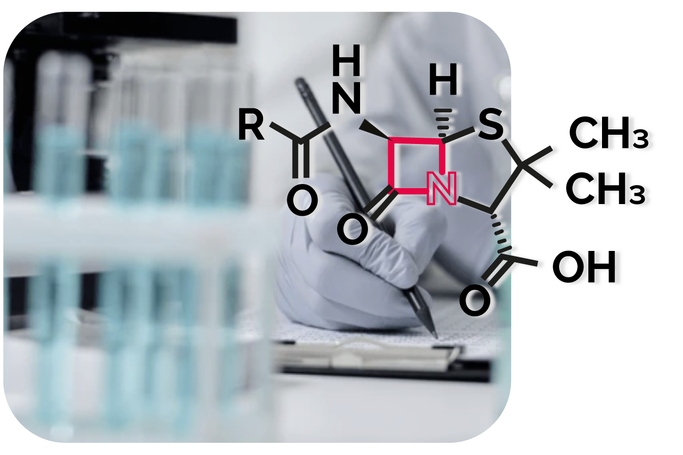 DIATER: Pruebas diagnósticas de betalactámicos